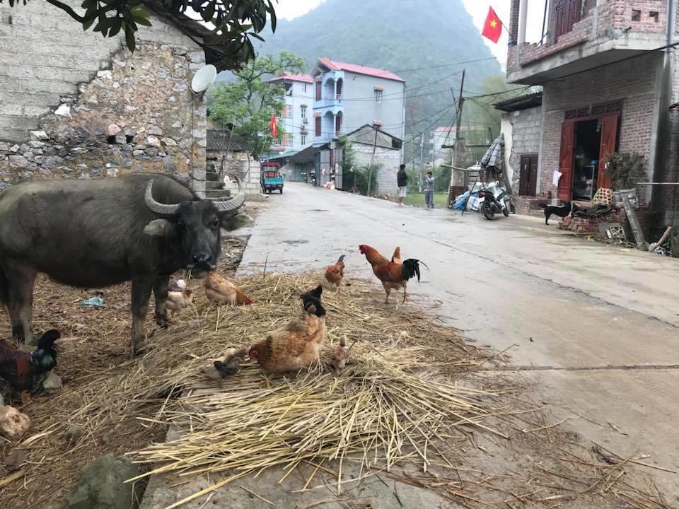 Yến Nhi Bản Giốc Homestay - Nhà sàn đá cổ Cao Bang Esterno foto